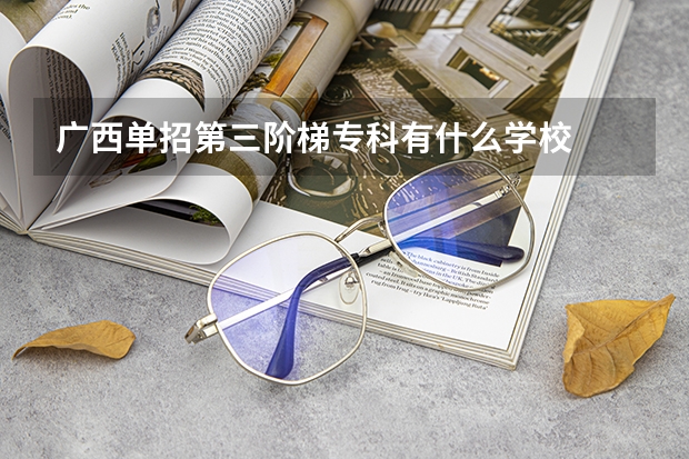 广西单招第三阶梯专科有什么学校