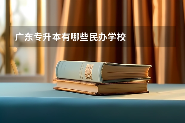 广东专升本有哪些民办学校