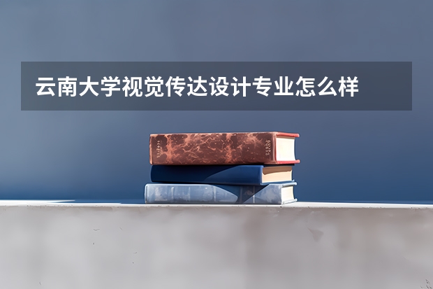 云南大学视觉传达设计专业怎么样