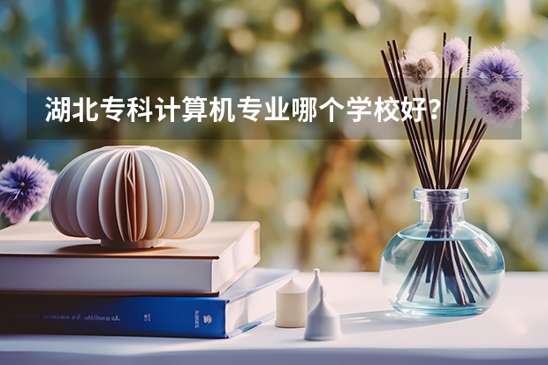 湖北专科计算机专业哪个学校好？