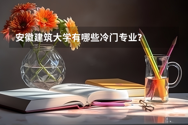 安徽建筑大学有哪些冷门专业？