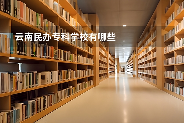 云南民办专科学校有哪些