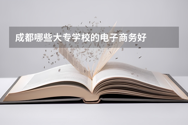 成都哪些大专学校的电子商务好