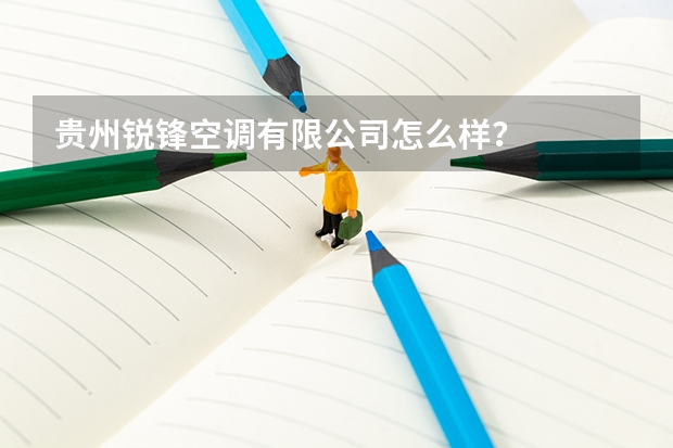 贵州锐锋空调有限公司怎么样？