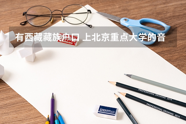 有西藏藏族户口 上北京重点大学的音乐专业 需要大概多少文化分 和艺术分 比如中央音乐学院