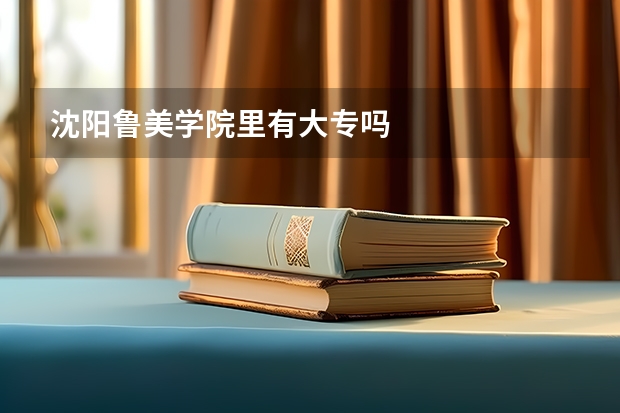 沈阳鲁美学院里有大专吗