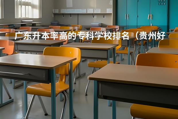 广东升本率高的专科学校排名（贵州好的大专院校排名）