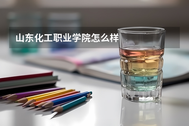 山东化工职业学院怎么样
