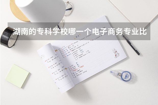 湖南的专科学校哪一个电子商务专业比较好, 电子商务比较好的专科学校