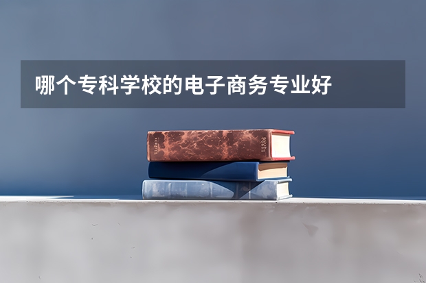 哪个专科学校的电子商务专业好
