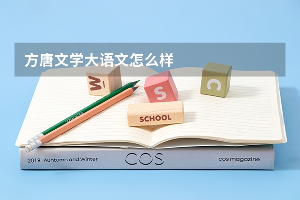 方唐文学大语文怎么样