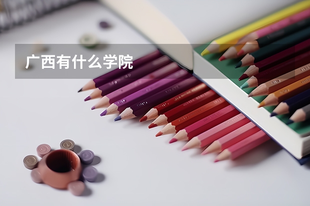 广西有什么学院