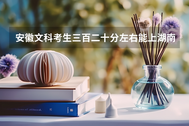 安徽文科考生三百二十分左右能上湖南什么专科学校