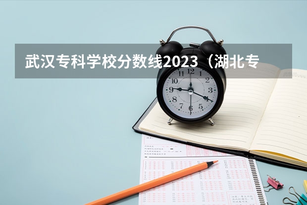 武汉专科学校分数线2023（湖北专科学校分数线）