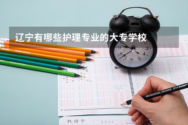 辽宁有哪些护理专业的大专学校