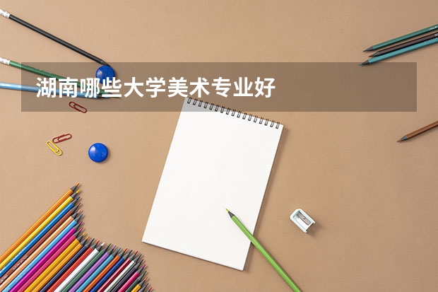 湖南哪些大学美术专业好