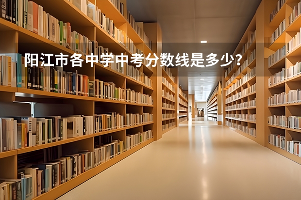 阳江市各中学中考分数线是多少？