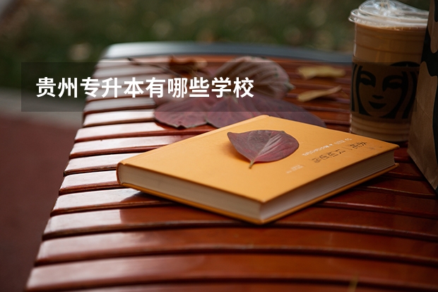 贵州专升本有哪些学校