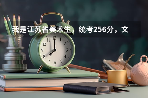 我是江苏省美术生，统考256分，文化一般240左右，能上什么大学啊