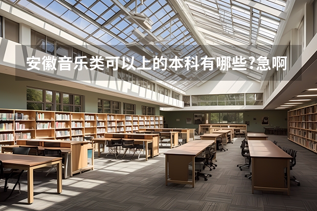 安徽音乐类可以上的本科有哪些?急啊!!!