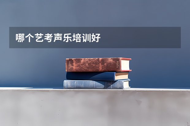 哪个艺考声乐培训好