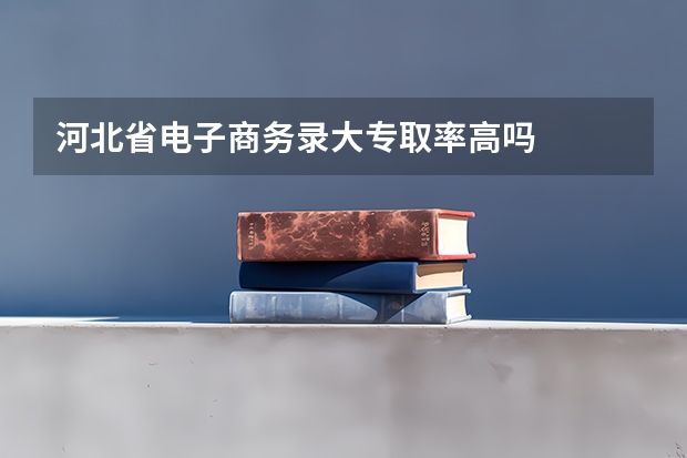 河北省电子商务录大专取率高吗