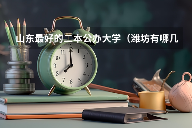 山东最好的二本公办大学（潍坊有哪几个好的职业学院？）