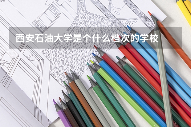 西安石油大学是个什么档次的学校