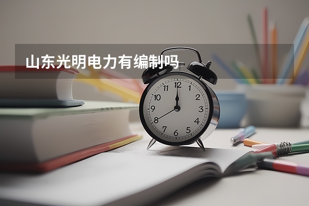 山东光明电力有编制吗