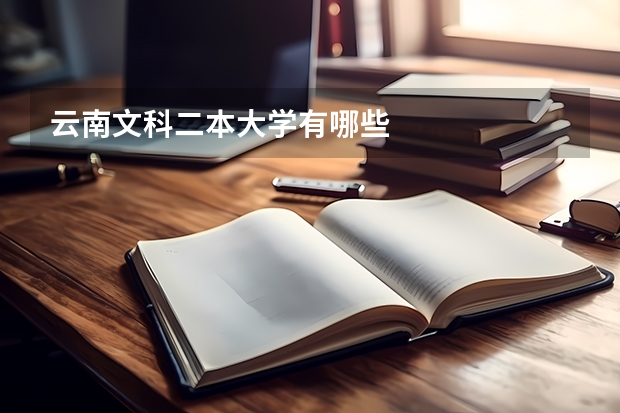 云南文科二本大学有哪些