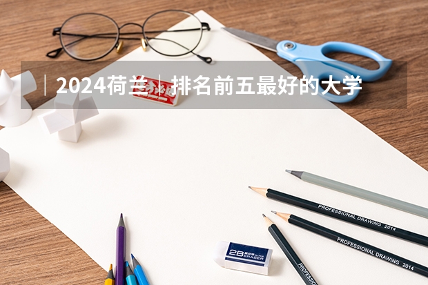 ｜2024·荷兰｜排名前五最好的大学简介 荷兰代尔夫特理工大学世界排名