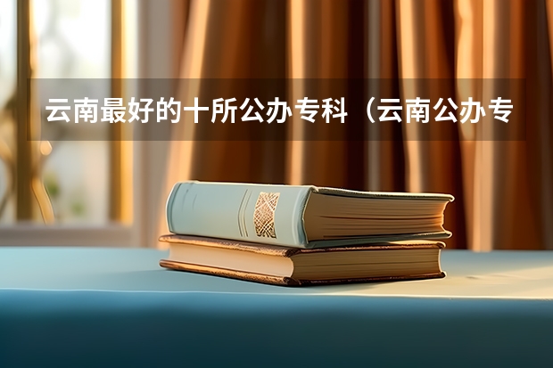 云南最好的十所公办专科（云南公办专科学校录取分数线）