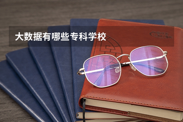 大数据有哪些专科学校