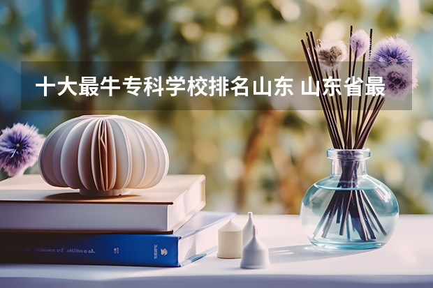十大最牛专科学校排名山东 山东省最好的专科学校排名公办