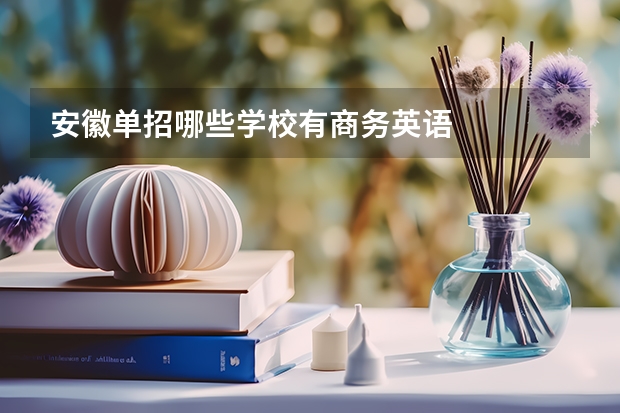 安徽单招哪些学校有商务英语