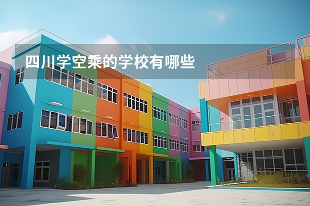 四川学空乘的学校有哪些
