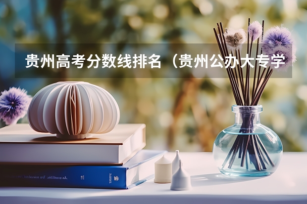 贵州高考分数线排名（贵州公办大专学校排名及分数线）