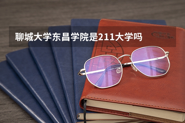 聊城大学东昌学院是211大学吗